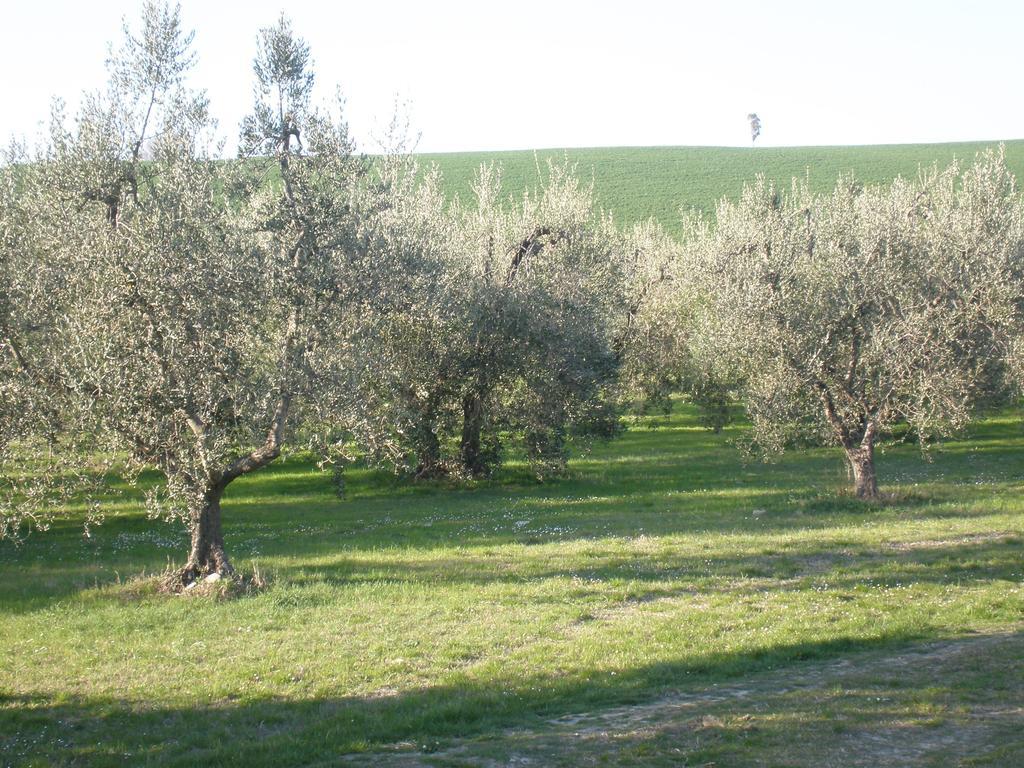 Locanda La Gozzetta Santa Luce Buitenkant foto